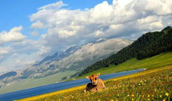 赛果高速，一条美到你心碎的自驾路！