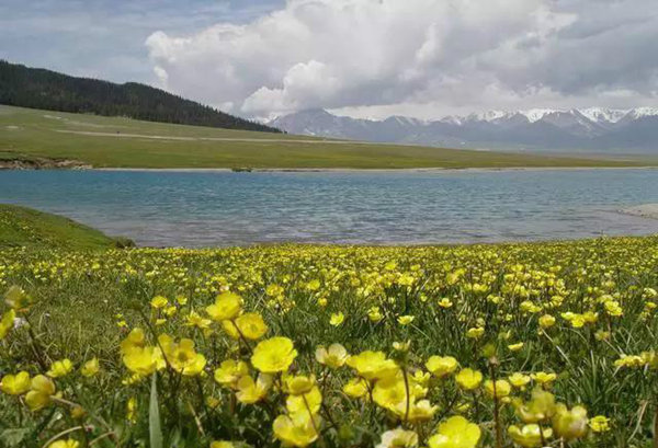 赛果高速，一条美到你心碎的自驾路！