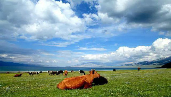 赛果高速，一条美到你心碎的自驾路！