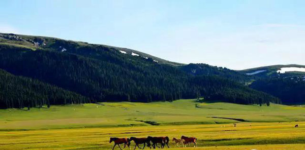 赛果高速，一条美到你心碎的自驾路！
