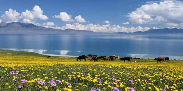 赛果高速，一条美到你心碎的自驾路！