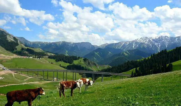 赛果高速，一条美到你心碎的自驾路！