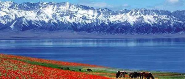 赛果高速，一条美到你心碎的自驾路！