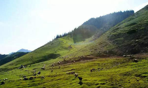 赛果高速，一条美到你心碎的自驾路！