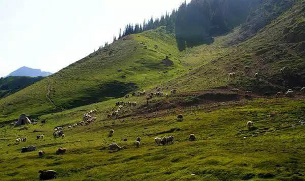 赛果高速，一条美到你心碎的自驾路！
