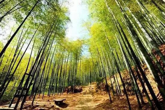 国内自驾最好玩的地方 你很可能去错了！