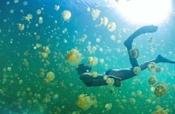 世界上最适合情侣自驾旅行的16个地方