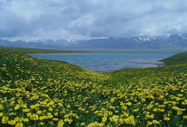 赛果高速，一条美到你心碎的自驾路！