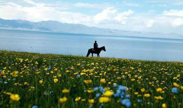 赛果高速，一条美到你心碎的自驾路！