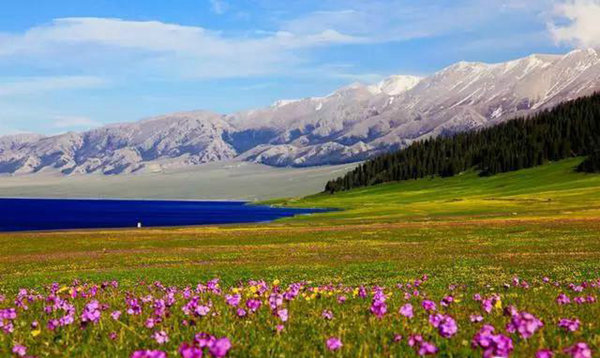 赛果高速，一条美到你心碎的自驾路！