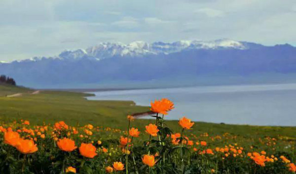 赛果高速，一条美到你心碎的自驾路！