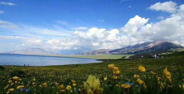 赛果高速，一条美到你心碎的自驾路！