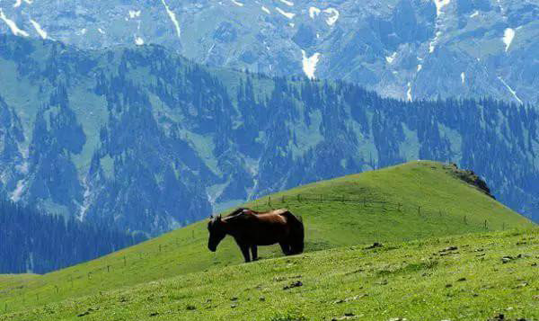 赛果高速，一条美到你心碎的自驾路！