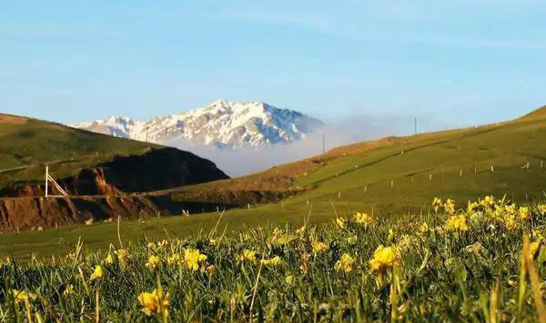 赛果高速，一条美到你心碎的自驾路！