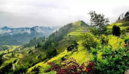 国内自驾最好玩的地方 你很可能去错了！