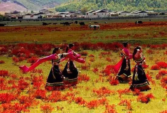 没欣赏过这些美景 你就没自驾过云南