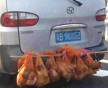 载客汽车不能载货 “后置发动鸡”别任性