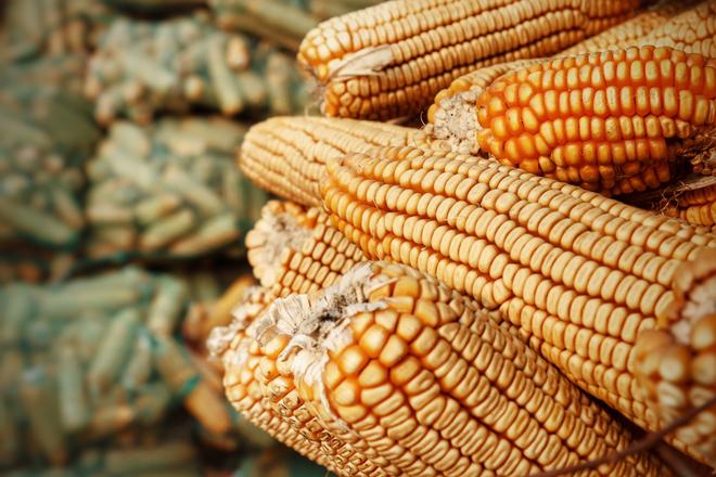 浪迹|过年没意思？寻找北京周边最浓的年味