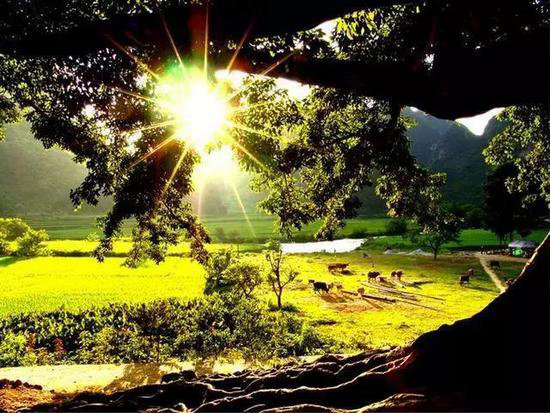 没欣赏过这些美景 你就没自驾过云南