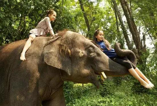 没欣赏过这些美景 你就没自驾过云南