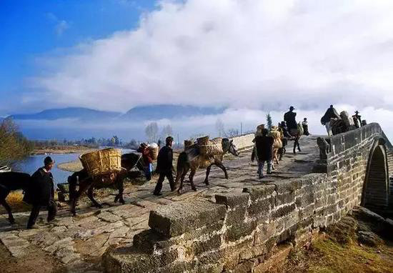 没欣赏过这些美景 你就没自驾过云南