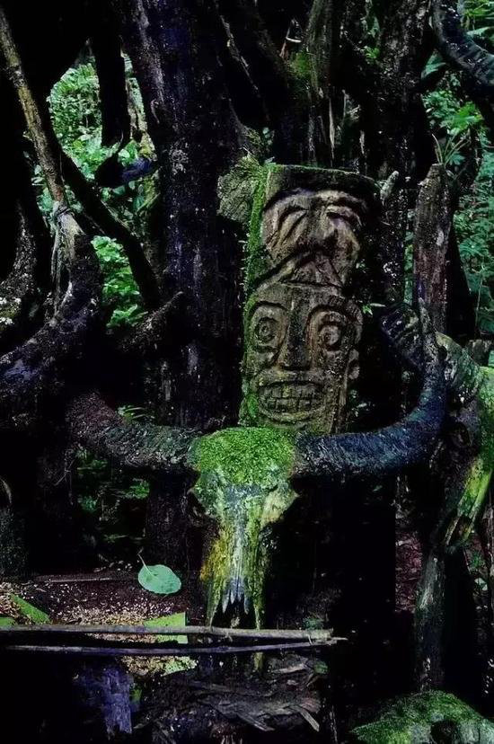 没欣赏过这些美景 你就没自驾过云南