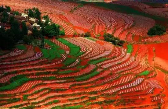 没欣赏过这些美景 你就没自驾过云南