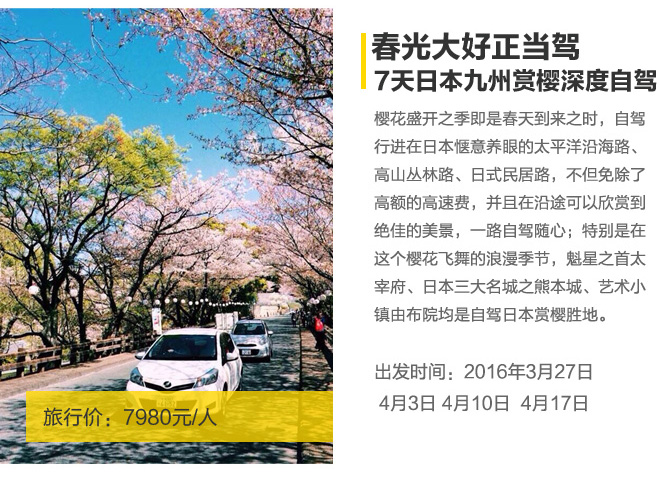 招募:7天7980元浪漫樱花自驾日本