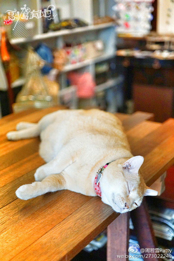 韩系甜美女生带你寻找多彩新加坡 