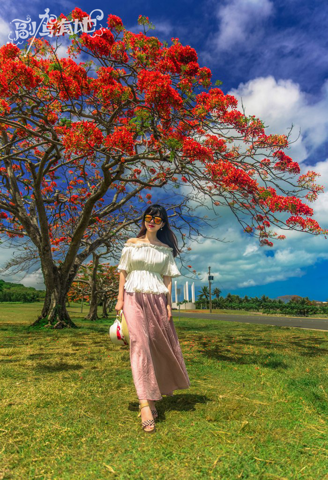 海岸公路风情多 妹纸裙摆飞扬尽情美拍