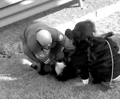 宝马撞杆起火公交司机救人 两名女性获救