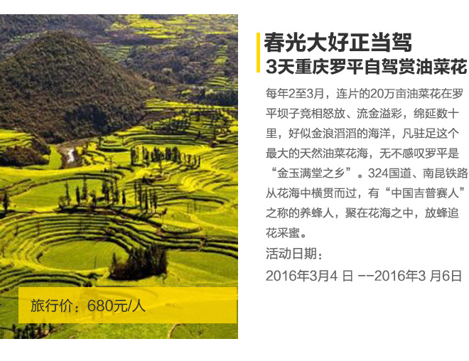 招募|仅680元从重庆自驾去罗平看花海