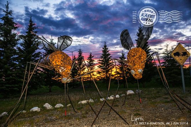 自驾|一年三季出入阿拉斯加 此生自驾必去