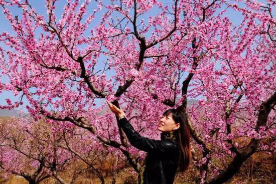 早春最适合自驾旅行的地方！有你想去的吗