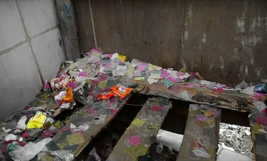 想自驾去西藏就先过了西藏厕所这一关吧