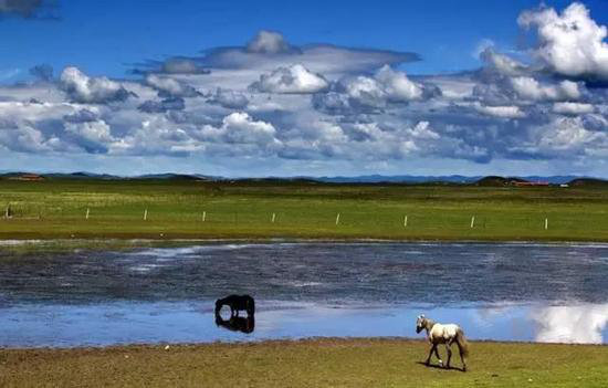 美成这样像话么？今年最值得自驾去的风景