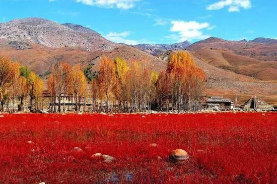 美成这样像话么？今年最值得自驾去的风景