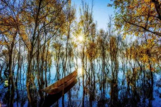 美成这样像话么？今年最值得自驾去的风景