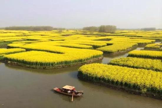 早春最适合自驾旅行的地方！有你想去的吗