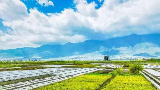 美成这样像话么？今年最值得自驾去的风景