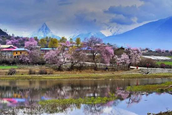 早春最适合自驾旅行的地方！有你想去的吗