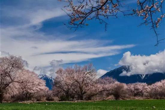 早春最适合自驾旅行的地方！有你想去的吗