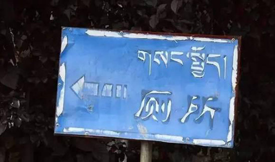 想自驾去西藏就先过了西藏厕所这一关吧