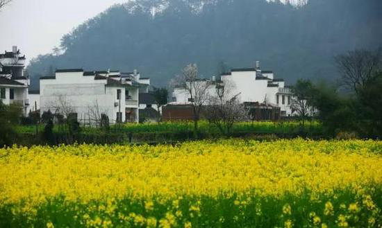 美成这样像话么？今年最值得自驾去的风景