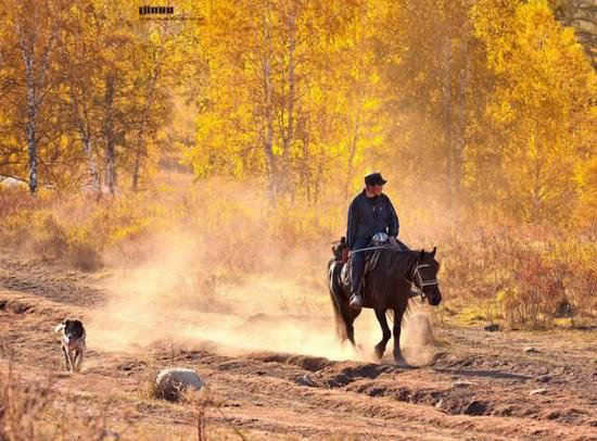 美成这样像话么？今年最值得自驾去的风景