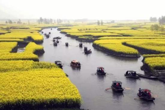 早春最适合自驾旅行的地方！有你想去的吗