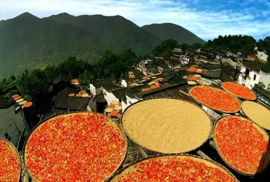 美成这样像话么？今年最值得自驾去的风景