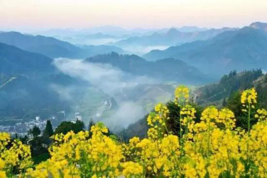 早春最适合自驾旅行的地方！有你想去的吗