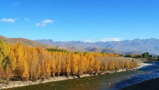 美成这样像话么？今年最值得自驾去的风景