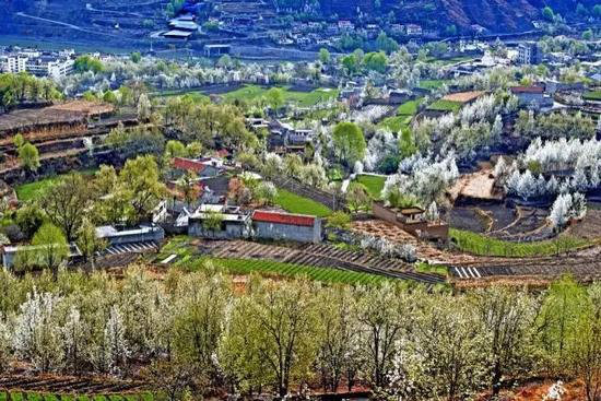 早春最适合自驾旅行的地方！有你想去的吗